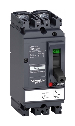 Силовой автомат Schneider Electric Compact NSX, 18кА, 2P, 20А